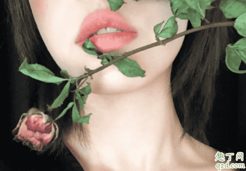 rose下載地址邀請碼分享 rose軟件免費(fèi)卡密怎么獲取3