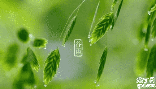 2021年谷雨是幾月幾號 2021年谷雨節氣幾點開始1