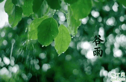 2021年谷雨是幾月幾號 2021年谷雨節氣幾點開始3