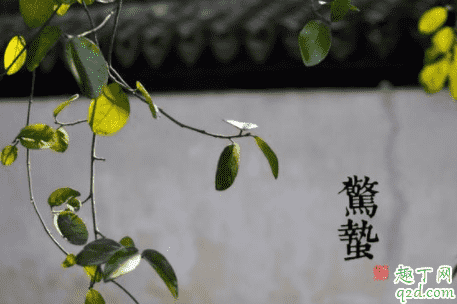驚蟄刮北風不好嗎 驚蟄刮北風代表什么 3