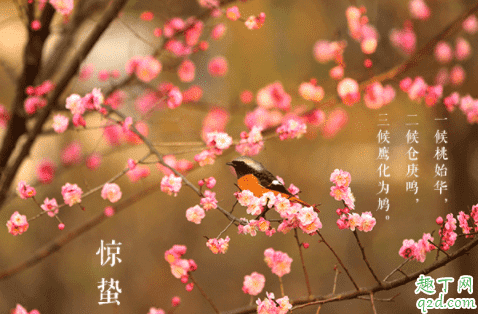 驚蟄刮北風不好嗎 驚蟄刮北風代表什么 2