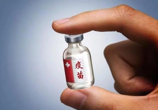 老年人能接種新冠疫苗嗎？打新冠疫苗可以用護照嗎？