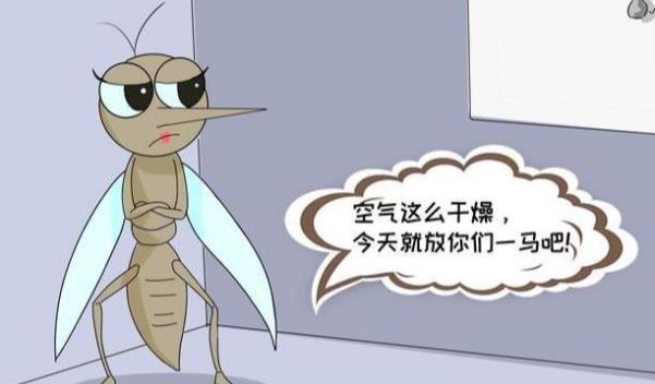 開空調(diào)蚊子會(huì)變少嗎