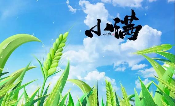小滿之后為什么沒有大滿？小滿中的滿是什么意思