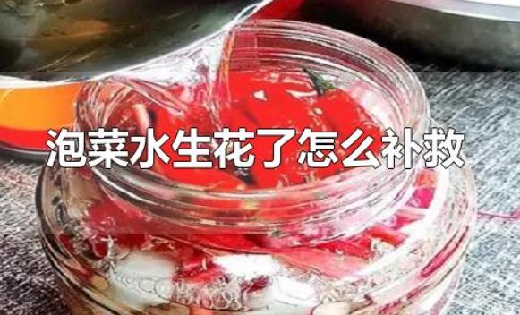 泡菜水生花了怎么補救？泡菜太酸了怎么解決