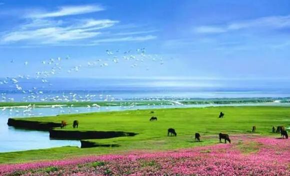 中國五大淡水湖都分別是什么？ 中國第一大淡水湖是哪個湖