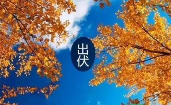 出伏是哪天？出伏吃什么水果好