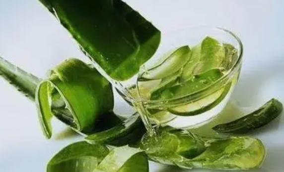 橄欖油和蘆薈膠哪個好？橄欖油護膚怎么用