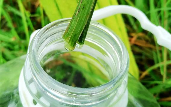 絲瓜水適合什么膚質？絲瓜水做噴霧怎么用