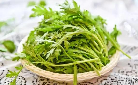 茼蒿的主要品種都有什么？茼蒿的熱量是多少